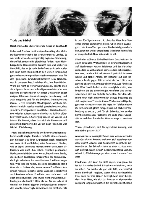 Artikel Vorschau Haschmich
